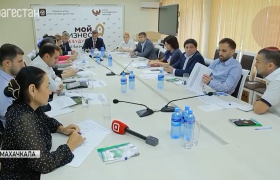 В Агентстве  по предпринимательству и инвестициям Республики Дагестан обсудили действующие меры государственной поддержки для бизнеса. 