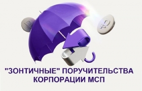 Свыше 46 млрд рублей смогут получить МСП во втором квартале 2025 года!