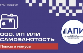 ИП, ООО или самозанятость